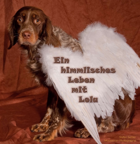 Ein himmlisches Leben mit Lola - 